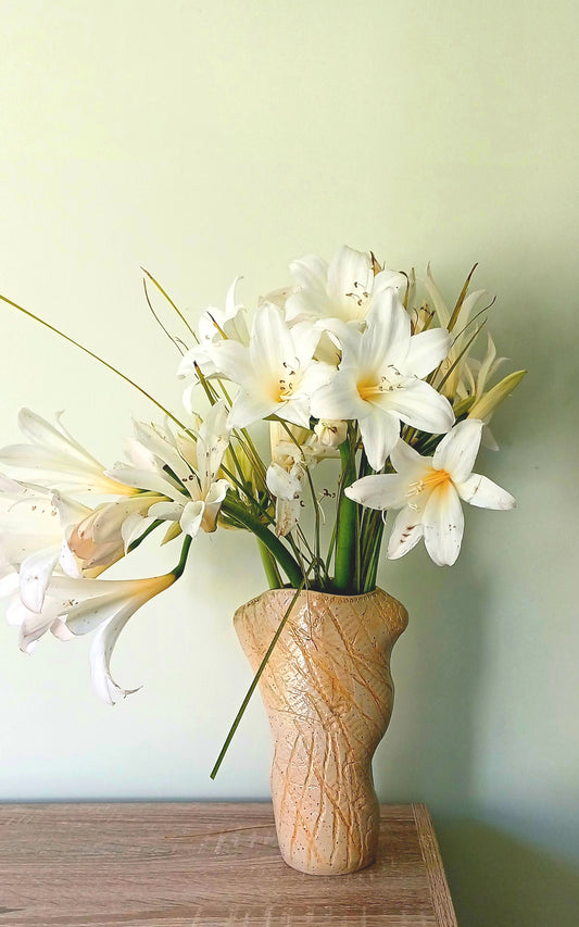 Amaryllis belladonna 'Lemon Pearl'  - 3 bulbs - XXL size