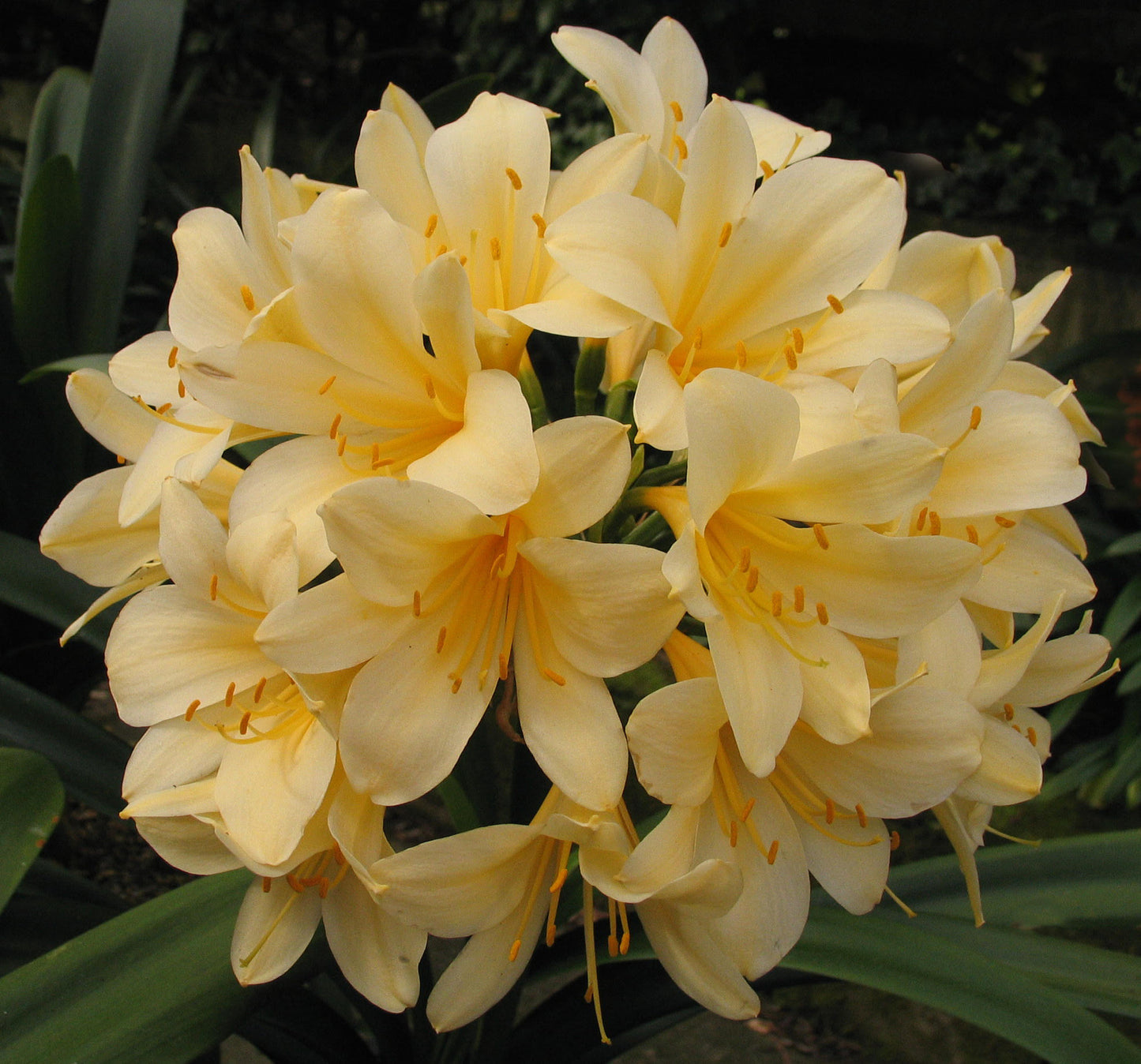 Apollo Farm Gift Cards