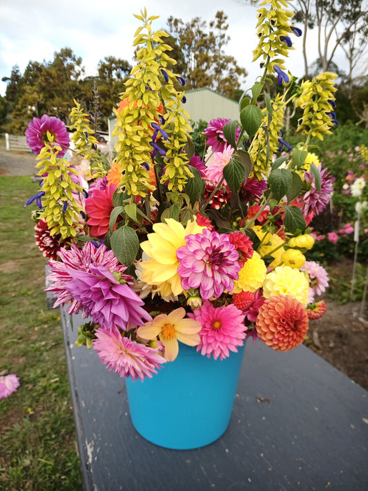 PYO Flowers: Tuesday April 16th 4-6pm
